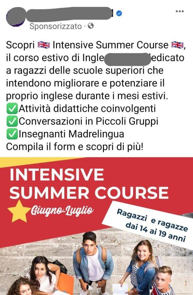 example of facebook and instagram advertisement highlighting "mother tongue" teachers